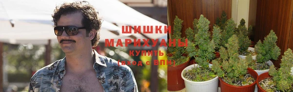 jwh Краснослободск