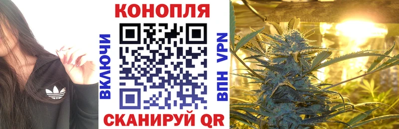 Канабис White Widow  это Telegram  Шиханы  наркошоп 